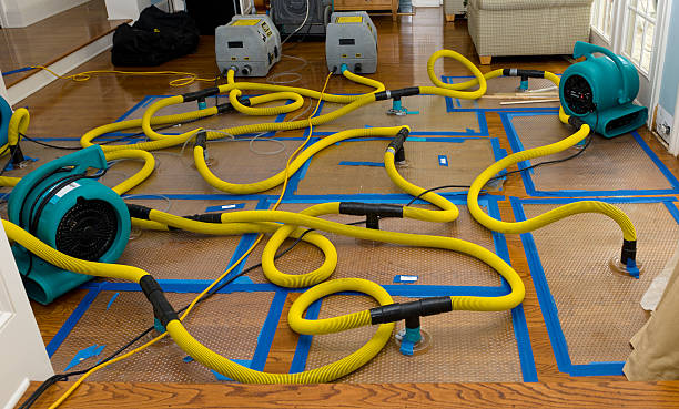 Professional Crawl Space Water Removal technician working in Albertson, NY